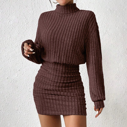 Knitted Long Sleeve Turtleneck